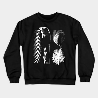 Botanical Seaweed Kelp Crewneck Sweatshirt